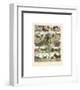 Mammiferes II-Adolphe Millot-Framed Giclee Print