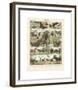 Mammiferes II-Adolphe Millot-Framed Giclee Print