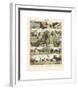 Mammiferes II-Adolphe Millot-Framed Giclee Print