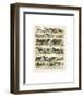 Mammiferes-Adolphe Millot-Framed Art Print