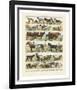 Mammiferes-Adolphe Millot-Framed Art Print