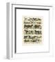 Mammiferes-Adolphe Millot-Framed Giclee Print