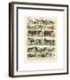 Mammiferes-Adolphe Millot-Framed Giclee Print
