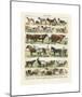 Mammiferes-Adolphe Millot-Mounted Giclee Print