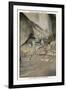 Mammoth Cave, Corkscrew Entrance-null-Framed Art Print