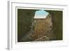 Mammoth Cave Entrance Looking Out-null-Framed Art Print