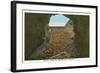 Mammoth Cave Entrance Looking Out-null-Framed Art Print