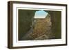 Mammoth Cave Entrance Looking Out-null-Framed Art Print