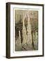 Mammoth Cave, Frozen Niagara Entrance-null-Framed Art Print