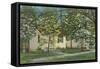 Mammoth Cave Hotel Cottages-null-Framed Stretched Canvas