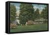 Mammoth Cave Hotel-null-Framed Stretched Canvas