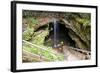 Mammoth Cave, Kentucky - Cave Entrance 1-Lantern Press-Framed Art Print