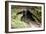 Mammoth Cave, Kentucky - Cave Entrance 1-Lantern Press-Framed Art Print