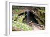 Mammoth Cave, Kentucky - Cave Entrance 1-Lantern Press-Framed Art Print