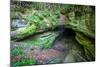 Mammoth Cave, Kentucky - Cave Entrance 2-Lantern Press-Mounted Art Print