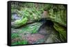 Mammoth Cave, Kentucky - Cave Entrance 2-Lantern Press-Framed Stretched Canvas