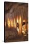 Mammoth Cave, Kentucky - Drapery Room-Lantern Press-Stretched Canvas