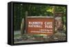 Mammoth Cave, Kentucky - Entrance-Lantern Press-Framed Stretched Canvas