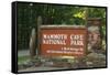 Mammoth Cave, Kentucky - Entrance-Lantern Press-Framed Stretched Canvas