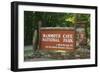 Mammoth Cave, Kentucky - Entrance-Lantern Press-Framed Art Print