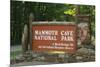 Mammoth Cave, Kentucky - Entrance-Lantern Press-Mounted Art Print