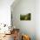 Mammoth Cave, Kentucky - River Scene-Lantern Press-Stretched Canvas displayed on a wall