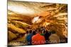 Mammoth Cave, Kentucky - Tour-Lantern Press-Mounted Art Print