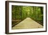 Mammoth Cave, Kentucky - Trail-Lantern Press-Framed Art Print