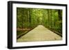 Mammoth Cave, Kentucky - Trail-Lantern Press-Framed Art Print