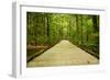 Mammoth Cave, Kentucky - Trail-Lantern Press-Framed Art Print