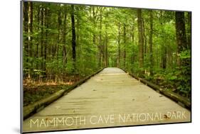 Mammoth Cave, Kentucky - Trail-Lantern Press-Mounted Art Print