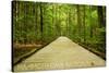 Mammoth Cave, Kentucky - Trail-Lantern Press-Stretched Canvas