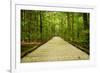 Mammoth Cave, Kentucky - Trail-Lantern Press-Framed Art Print