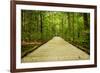 Mammoth Cave, Kentucky - Trail-Lantern Press-Framed Art Print