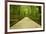 Mammoth Cave, Kentucky - Trail-Lantern Press-Framed Art Print