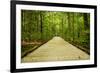 Mammoth Cave, Kentucky - Trail-Lantern Press-Framed Art Print