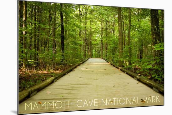 Mammoth Cave, Kentucky - Trail-Lantern Press-Mounted Art Print