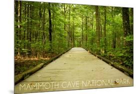 Mammoth Cave, Kentucky - Trail-Lantern Press-Mounted Art Print