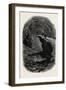 Mammoth Cave, Kentucky, USA, 1870s-null-Framed Giclee Print