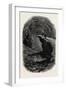 Mammoth Cave, Kentucky, USA, 1870s-null-Framed Giclee Print