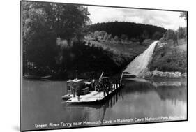 Mammoth Cave Nat'l Park, Kentucky - Green River Ferry-Lantern Press-Mounted Art Print