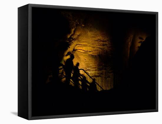 Mammoth Cave National Park, Kentucky, USA-Anna Miller-Framed Stretched Canvas