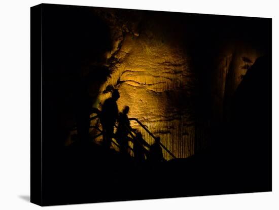 Mammoth Cave National Park, Kentucky, USA-Anna Miller-Stretched Canvas
