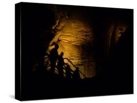 Mammoth Cave National Park, Kentucky, USA-Anna Miller-Stretched Canvas