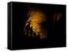 Mammoth Cave National Park, Kentucky, USA-Anna Miller-Framed Stretched Canvas