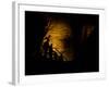 Mammoth Cave National Park, Kentucky, USA-Anna Miller-Framed Photographic Print