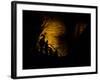 Mammoth Cave National Park, Kentucky, USA-Anna Miller-Framed Photographic Print