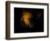 Mammoth Cave National Park, Kentucky, USA-Anna Miller-Framed Photographic Print