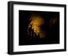 Mammoth Cave National Park, Kentucky, USA-Anna Miller-Framed Photographic Print