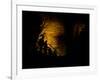 Mammoth Cave National Park, Kentucky, USA-Anna Miller-Framed Photographic Print